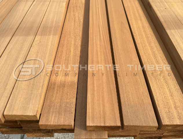 Thermo Ayous 20 x 70mm PAR