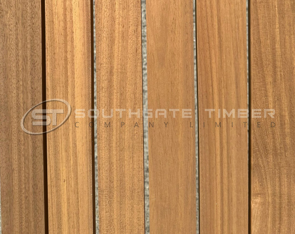 Thermo Ayous 20 x 70mm PAR