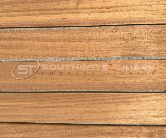Thermo Ayous 20 x 70mm PAR