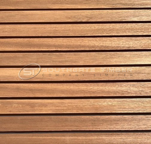 Thermo Ayous 20 x 45mm PAR