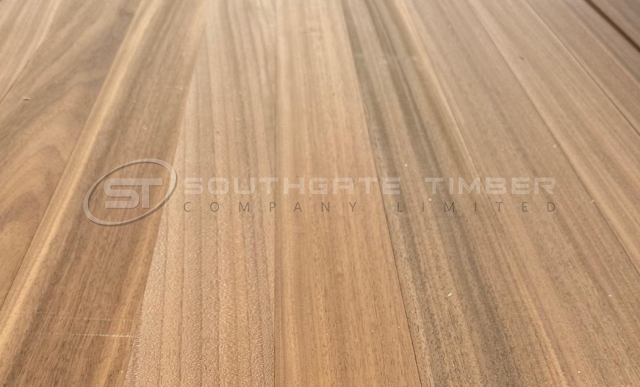 Thermo Ayous 20 x 95mm PAR