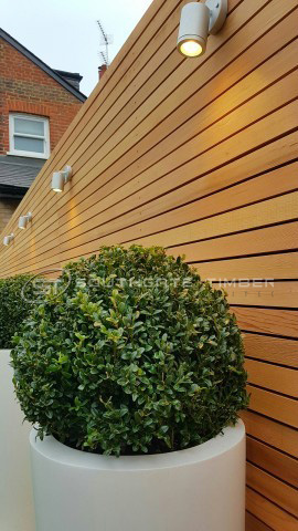 Western Red Cedar 20 x 45mm P.A.R. Fencing